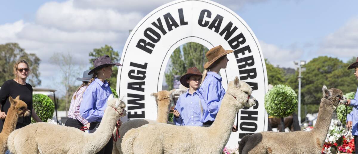 Canberra Show is always packed with events and this year promises to be yet another fun-packed event.  There are several new and exciting stalls and halls, don't miss them.