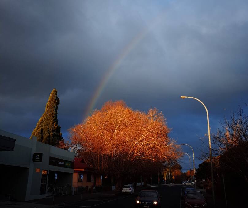 A cloudy afternoon with some light rain provided the perfect environment for this stunning snap in Bowral in the Southern Highlands. Photo: Hamish Ta-me