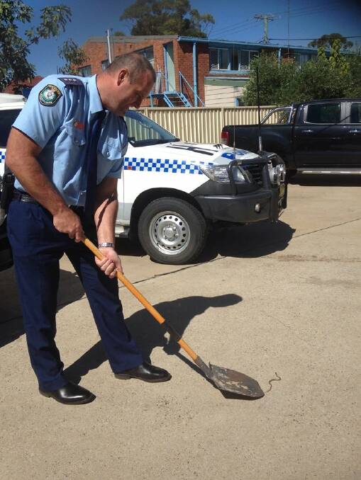 LONG ARM OF THE LAW: Police used a shovel to carefully remove a baby brown snake that slithered into the Young station recently. Photo: Cootamundra LAC Facebook