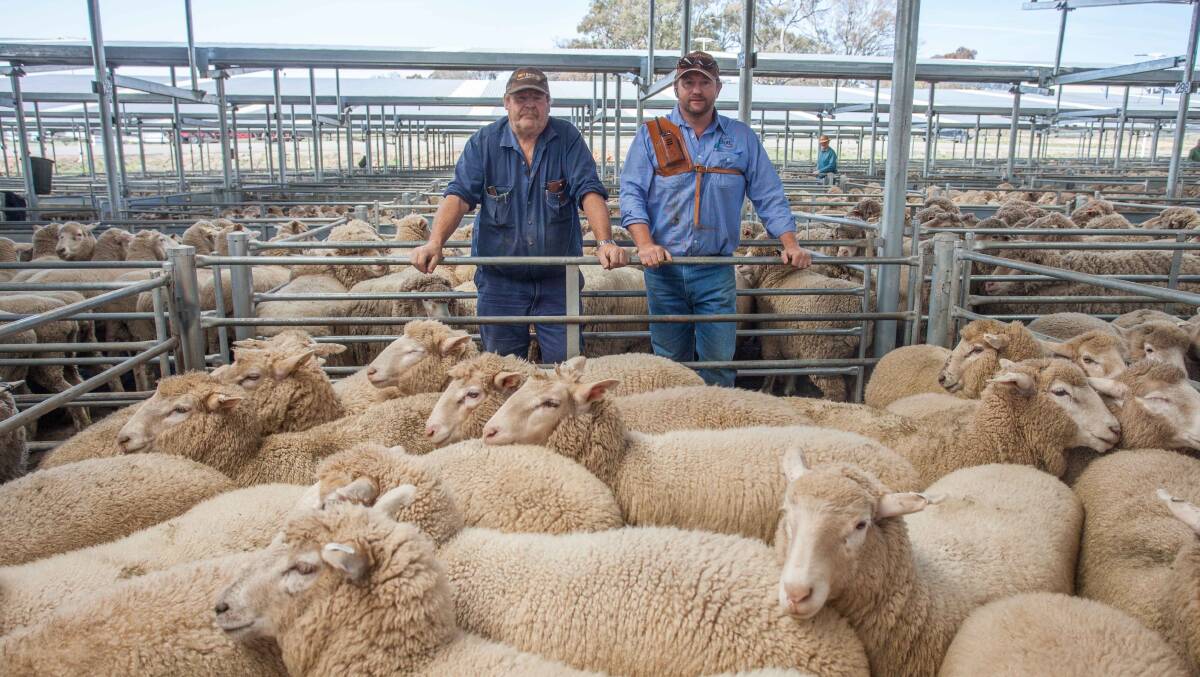 Phill Butt (Butt Livestock & Property) with Bob Holloway (‘The Dip’, Wee Jasper) topped September 20’s sale with Suckers sold to a top of $198.2ph. Photo: supplied