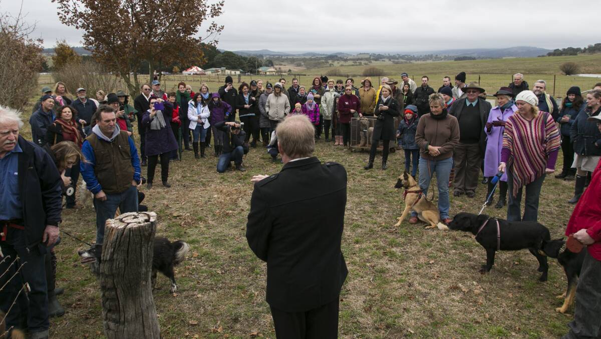 Blessing of the truffle dogs in 2016. Photo: file