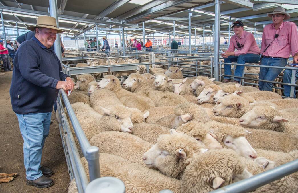 John Klem, Bannister Lodge Pastoral Co, sold 102 Suckers with Elders to a top of $186ph. Photo: Heidi Grange