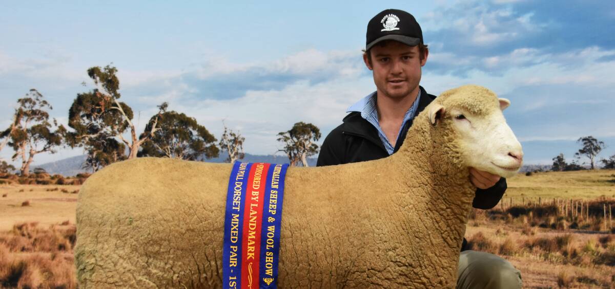 SUCCESS: The stud has had continuing success in the showring. James Scott is pictured with VV160.16 - winner of the Woolly Ewe and Mixed Pair ASWS at Bendigo 2017.