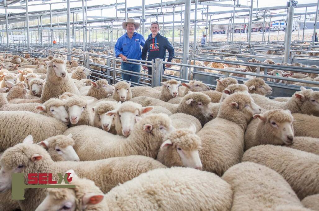 SALE: Market toppers at a recent Prime Lamb sale at SELX Yass. The McGeechan family, Woodville, Binda with agent Jock Duncombe of Duncombe & Co.