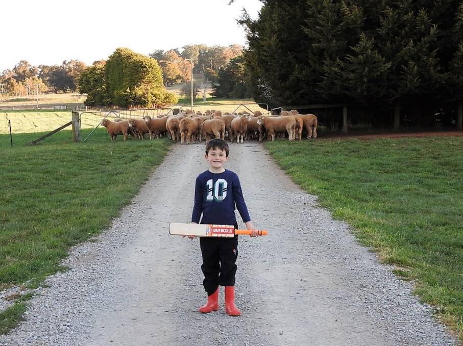FIFTH GENERATION: Jason Moloney with some of the Luana rams to be offered at sale. Hopefully farming life fits in with his cricketing ambitions.