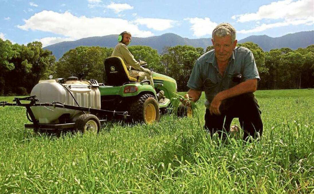 Assistance: The LLS will host a soil-testing program to help participants manage soil fertility. Pictured is far-north coast dairy farmer Ron Stoddart at Warning View Holsteins, Tyalgum, in a ryegrass paddock. Photo: Supplied