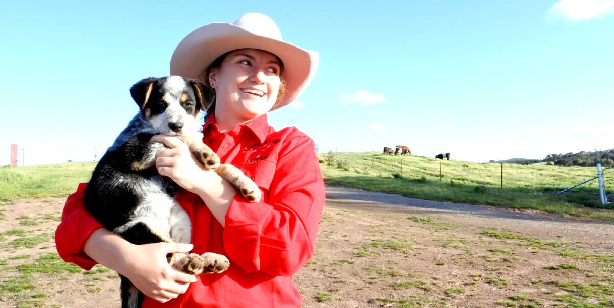 For the love: Montana Hawkins fell in love with agriculture at nine years old and can not imagine her life without it. She studied various aspects of agriculture and dreams of being a veterinary technician or nurse. Photo: Jessica Cole