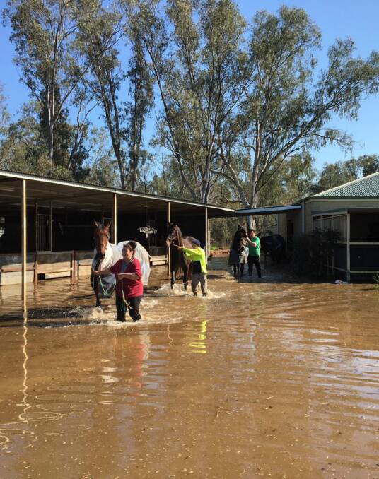 TOUGH TIMES: Wagga Wagga trainer Gary Colvin and his staff evacuate horses from his stables during the October long weekend as flood waters hit. Picture: Colvin Racing