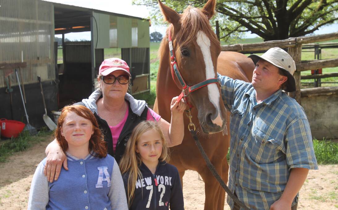 Uncertainty: Rob and Trish Anderson with daughter Chloe and family friend Marley Holder tend to racehorse Chloe's Puppet. The Andersons are worried about the precedent the greyhound-racing ban sets. Photo: Nick Schuller