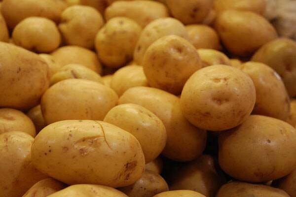 POPULAR: Potatoes seem to be still an important part of a diet for most Australians, according to a survey carried out by the Potato Tracker project. 