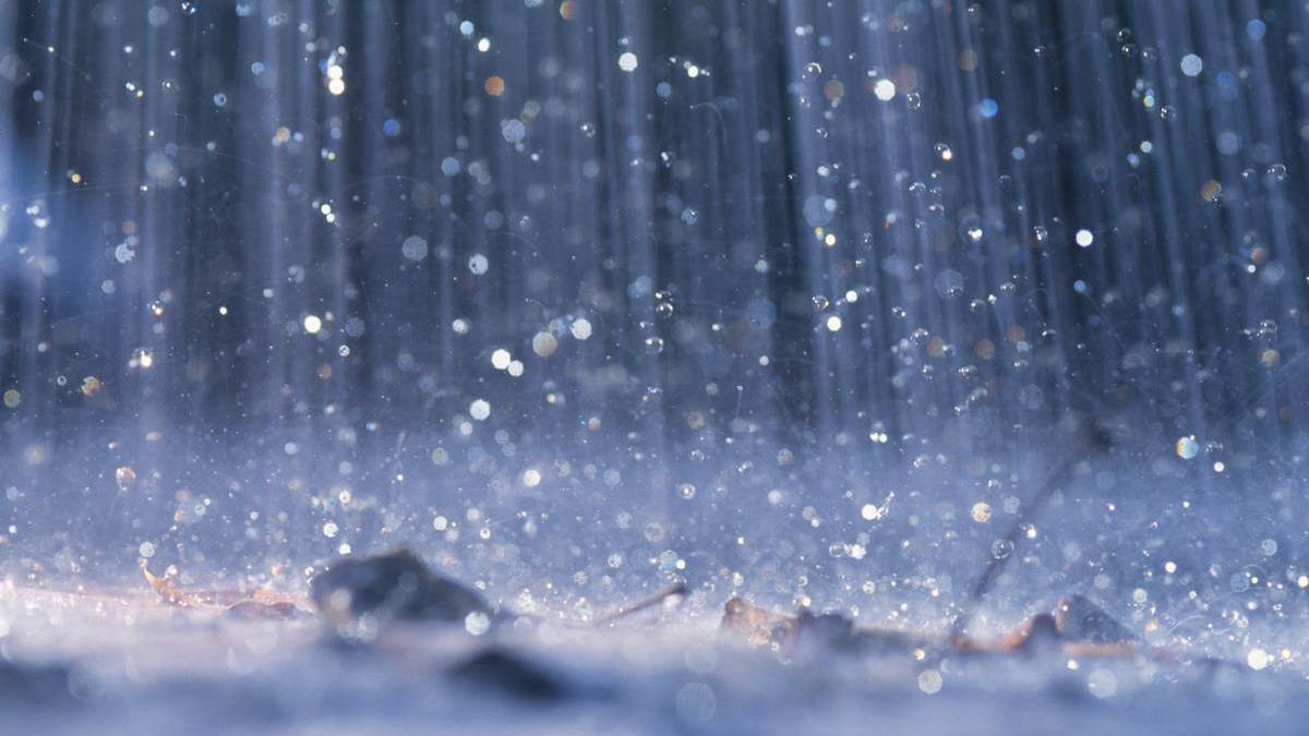 Farmers in half of NSW buoyed by rain