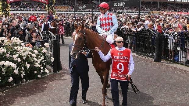 Red Cadeaux prior to this year's Melbourne Cup. Photo: Getty Images 