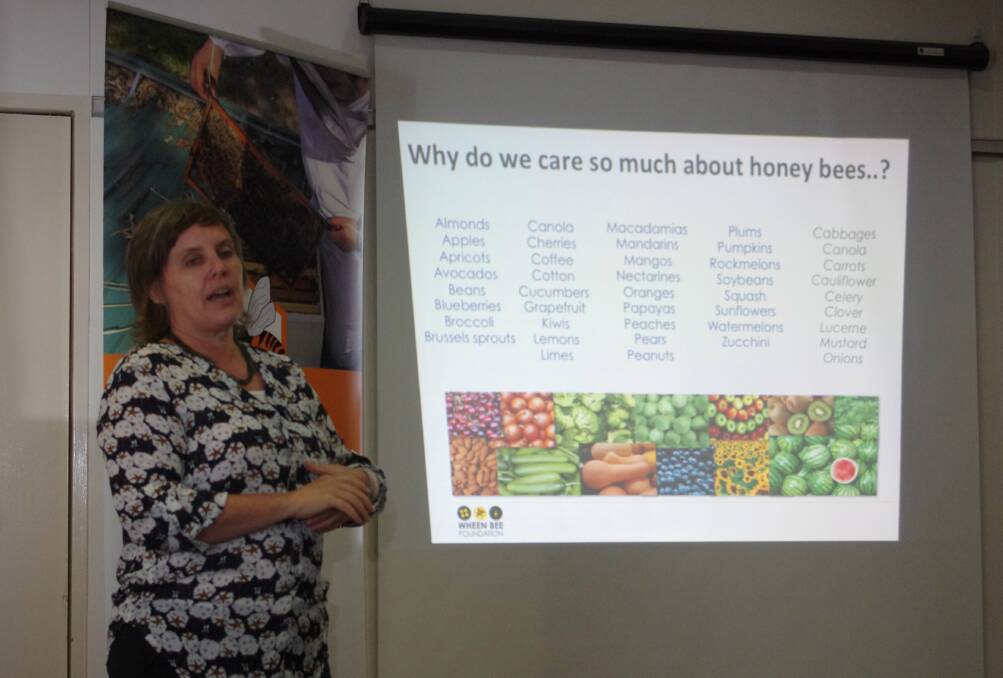 RESEARCHER: Dr Shonna Blair explains the importance of bees and honey in food security and wound dressing at the Goulburn District Beekeepers Club’s March meeting.
