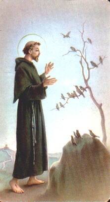 HOLY: St Francis of Assisi, the Patron Saint of Animals and the Environment. 