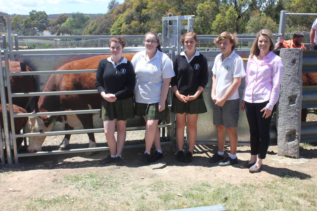 BENEFIT: Agriculture students Zaylee Bolin (left), Emily Doherty, Rachael Treur, and Dean Whitelaw from Mulwaree High School in Goulburn pictured with their agriculture teacher Callie Jessep (right) and their upgraded cattle race.