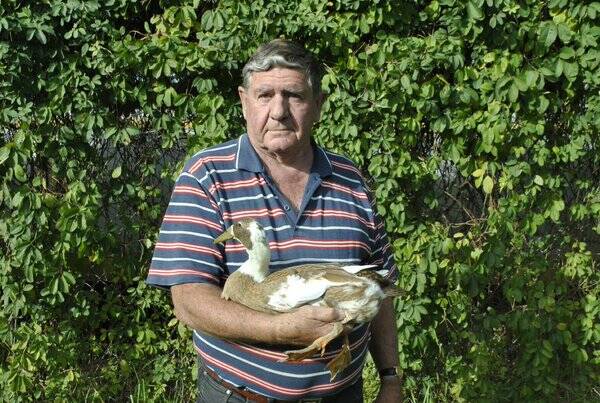 ON SHOW: Colin Ford with a fawn-white Indian Runner at his home in Moss Vale. Photo: Claire Fenwicke