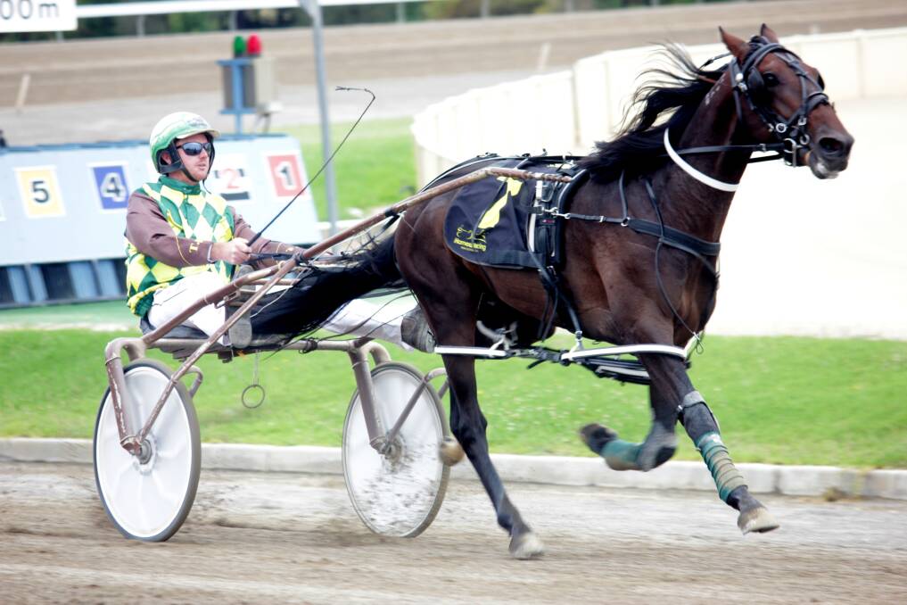 IN HIS BLOOD: Tom Hewitt’s grandson, Brad, driving Spare me Days to victory at Goulburn Paceway.