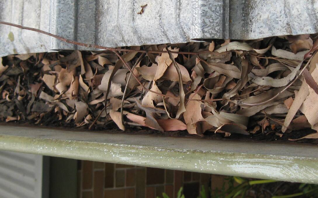 It only takes one spark, possibly blown from a fire front kilometres away, to ignite leaf litter in a gutter like this. So clean your gutters and don’t let them get like this. Fitting leaf guards can help too. Photos courtesy NSW RFS.