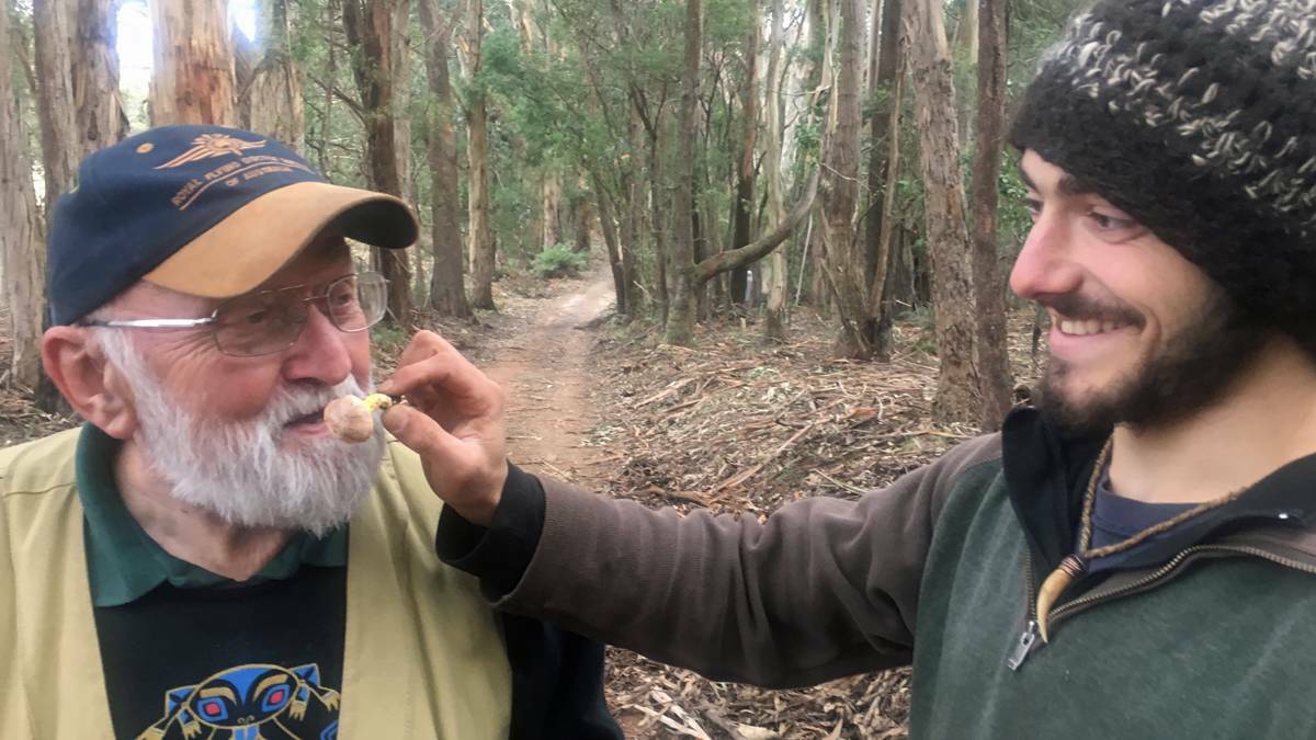 Emeritus Professor Jim Trappe of Oregon State University, a world leading mycologist, and associate mycologist Todd Elliot search for native truffles near Braidwood.