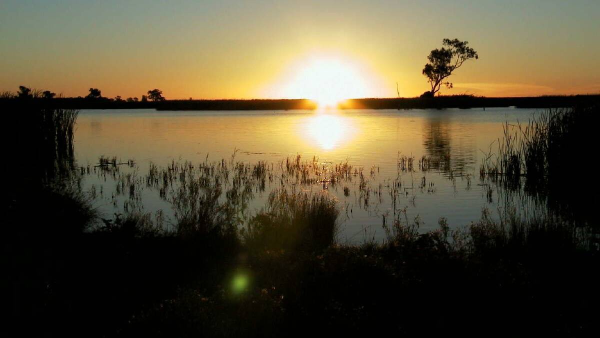The Lachlan River showing benefit from
environmental watering.
(Photo: Lachlan CMA)
