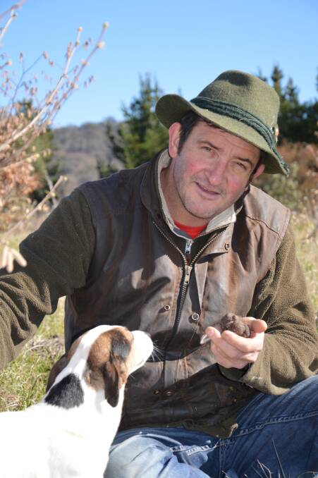 FLAVOUR: Turalla Truffles’ Damian Robinson and his dog, Three, snuffling out the delicacy’s aroma. Photo supplied 