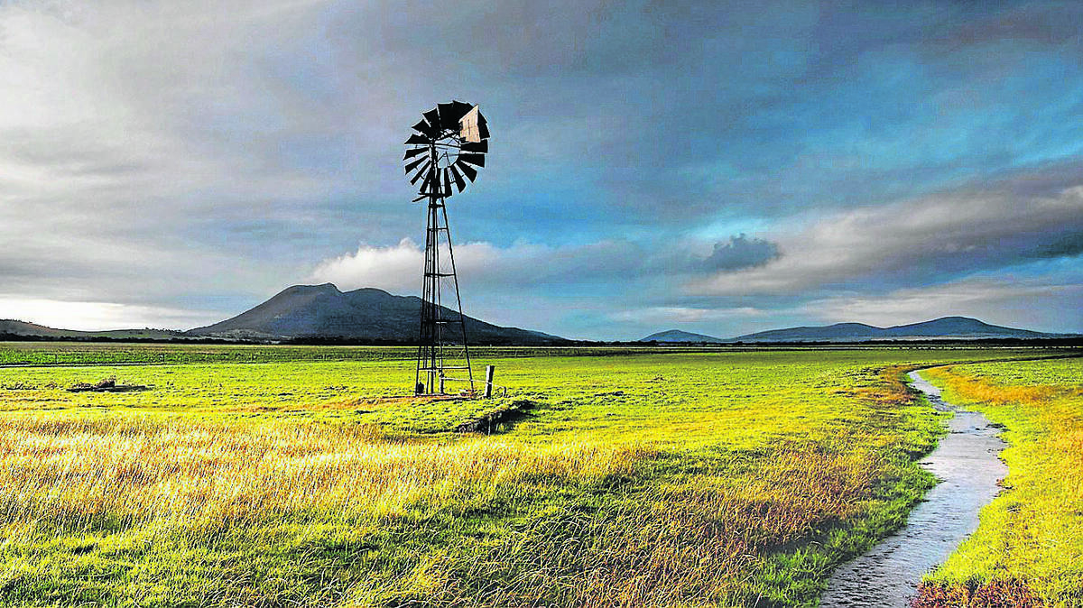 Eyre Peninsula: Windmill at Wangary Creek. Photo: Jack Davies.