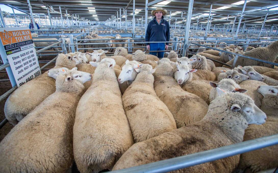 Willow Creek Pastoral, Bookham topped the market with Corey Nicholson, Holman Tolmie selling 24 crossbred lambs for $265 a head.