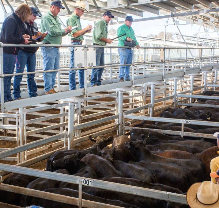 Landmark sold 35 Angus steers on behalf of Kizquem P/L for 323.2c/kg, av 424.7kg, $1372.68 a head.