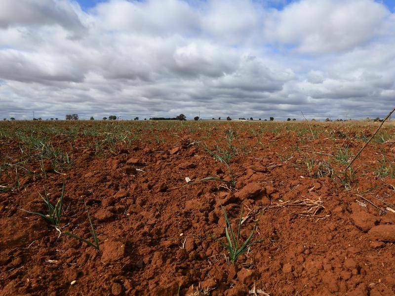 Big dry persistent across majority of NSW
