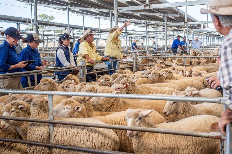 Bethune, Harden, topped Wednesday’s sale with a pen of XB lambs sold by Ray White for $182 a head.