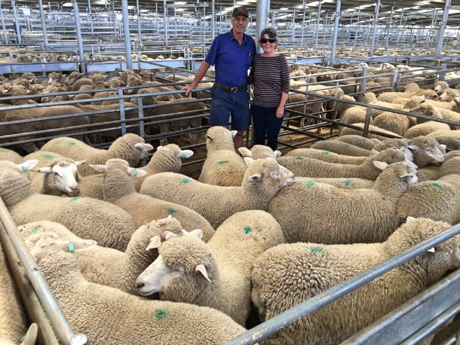 Brian and Noeleen Taylor sold 22 Corriedale x Suffolk lambs (three to four months) with Duncombe & Co for $170 a head.