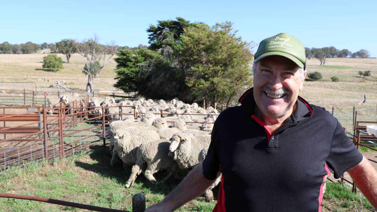 WINNING WAY: Brad Cartwright, 'Kempton' and his family won the Flock Ewe comp.