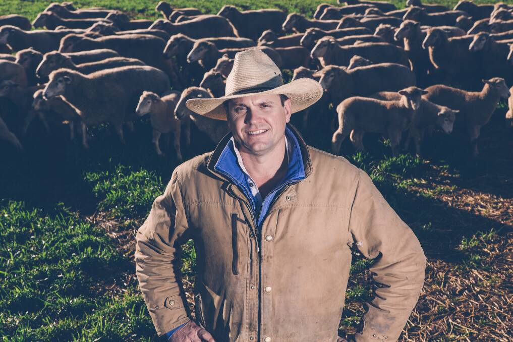 CONSISTENT: Ben Robilliard has been supplying lamb to Woolworths Junee for 15 years, with Poll Dorsets his ram of choice.