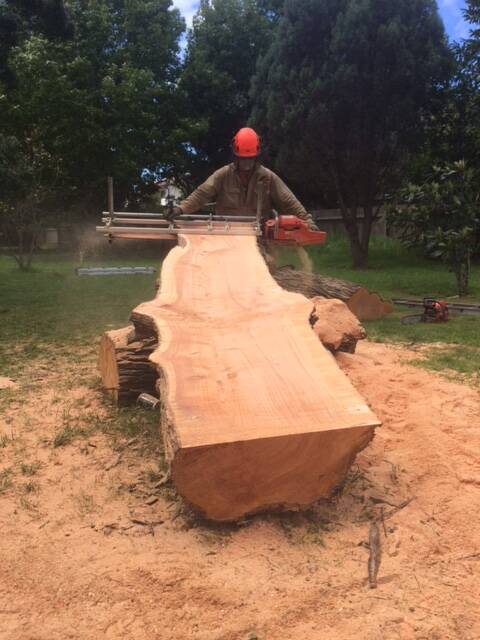 HARD WORK: G&D Tree Removal's Glenn Hajdu offers everything related to tree removal, including milling timber and stump grinding. 