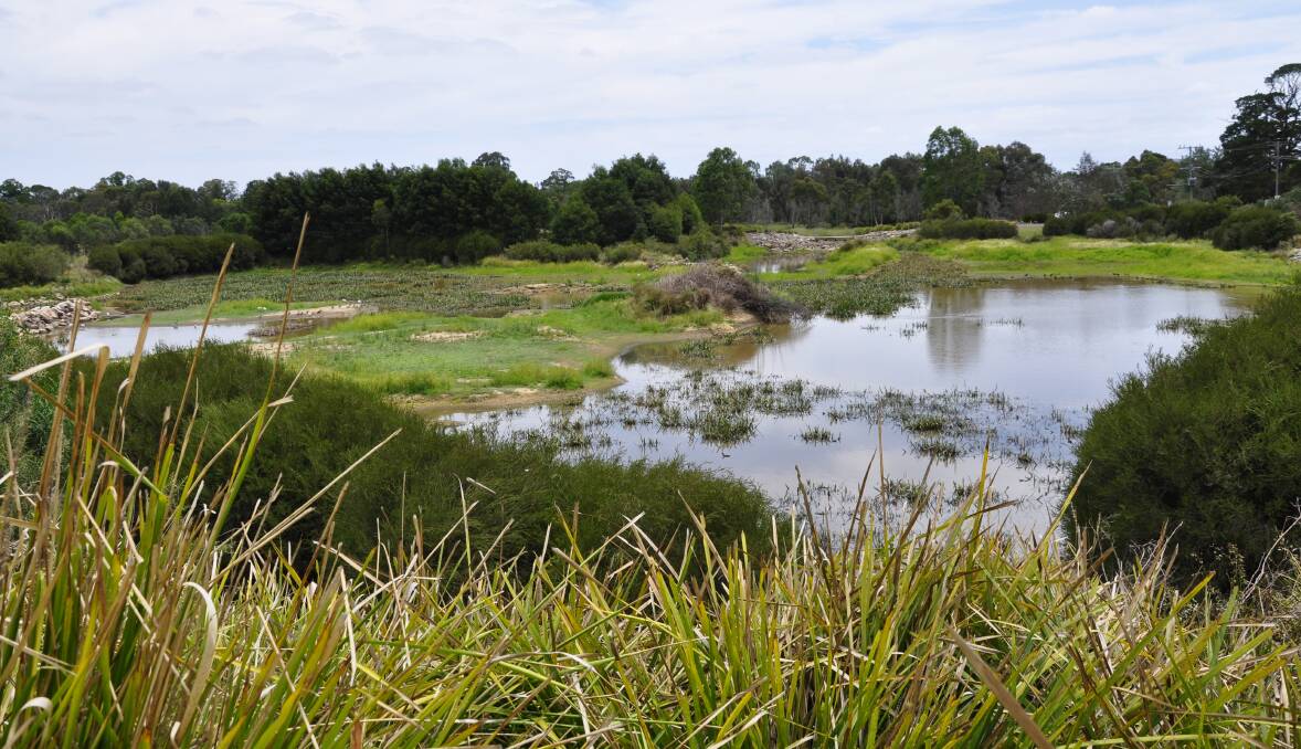 The Goulburn wetlands off May Street are a popular attraction for locals and tourists. Picture by Louise Thrower.