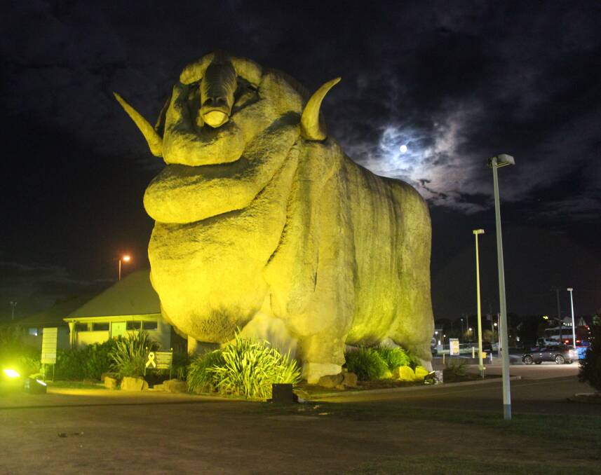 The Big Merino was lit up for National Road Safety Week in 2022. Picture by Sophie Bennett.