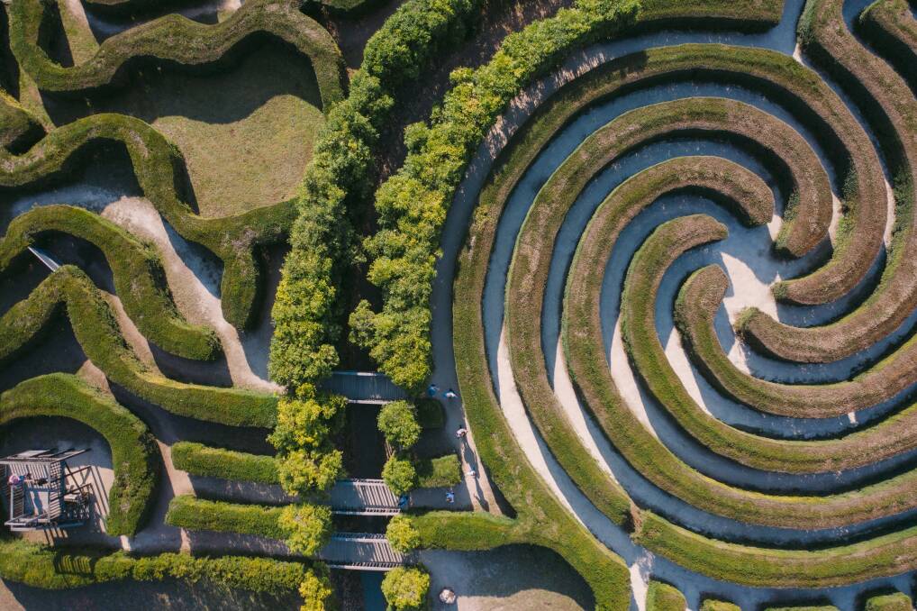 Bago is the largest hedge maze in NSW.