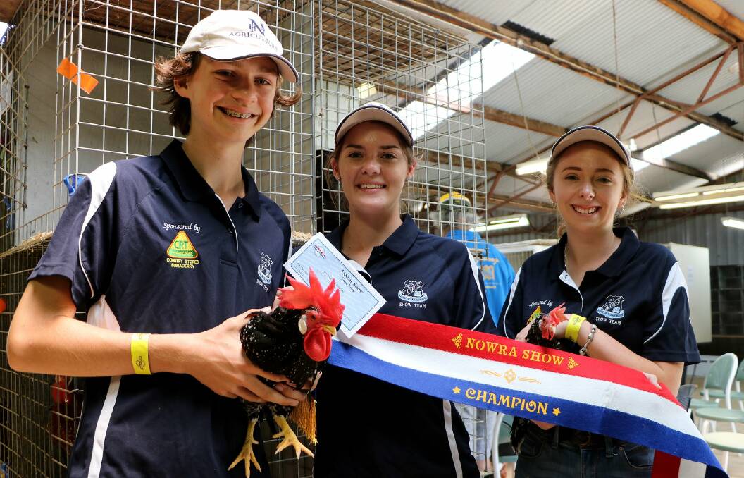 Nowra High School's champion pair of Ancona bantams at last year's show. Image Nowra Poultry Club 