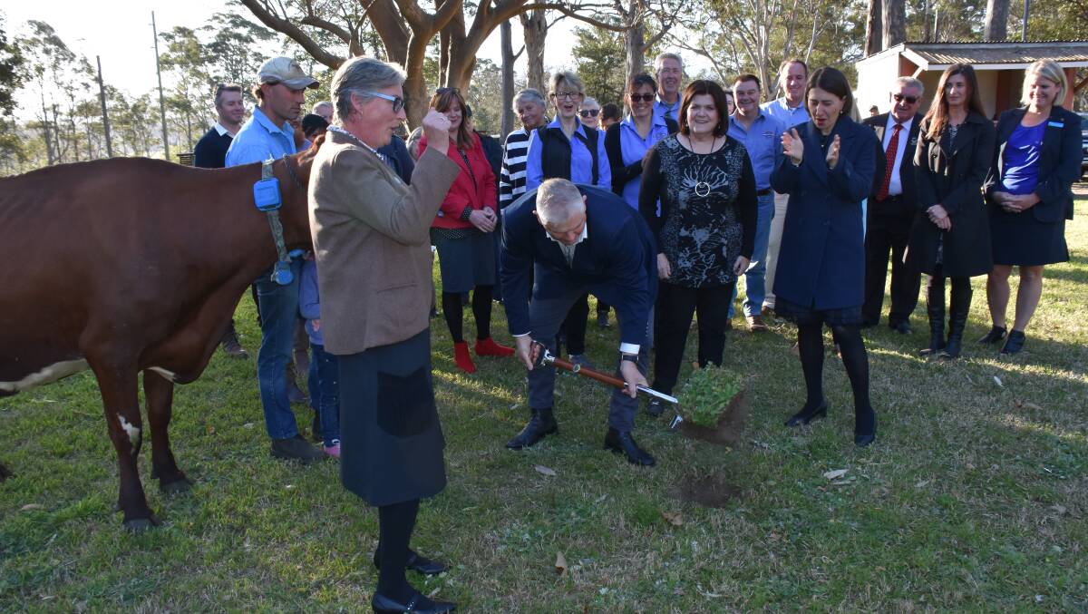 SOD TURNING: Nowra Show president Mark Stewart performs the sod turning in the soon to be redeveloped cattle ring.

