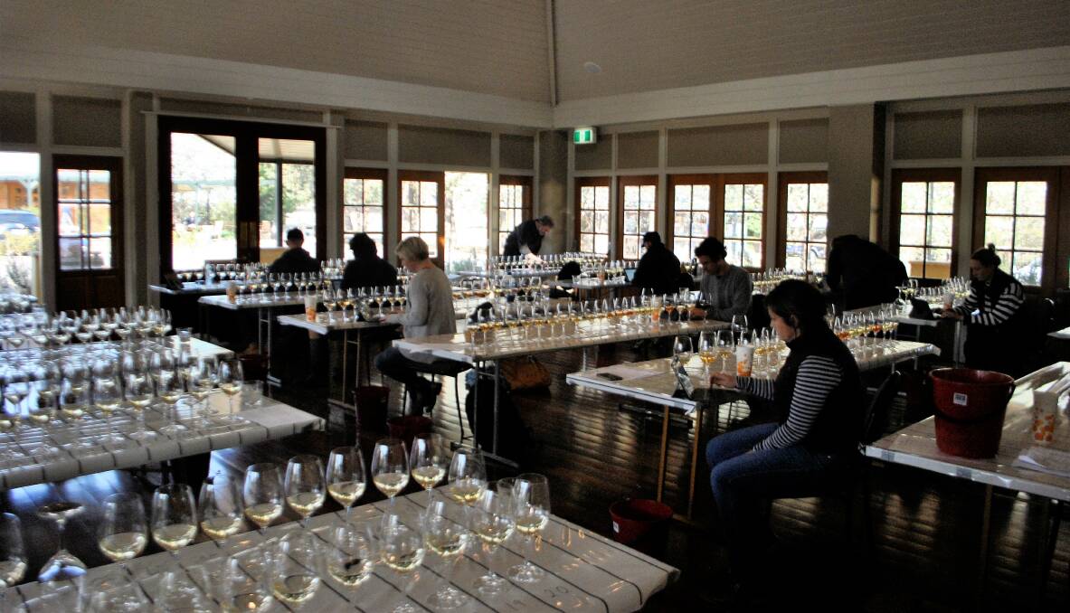 Showcasing the Highlands: This is the first year that judging has taken place in the Southern Highlands and the 22 wines from the region will compete in an additional regionally specific category. Photo: Olivia Ralph