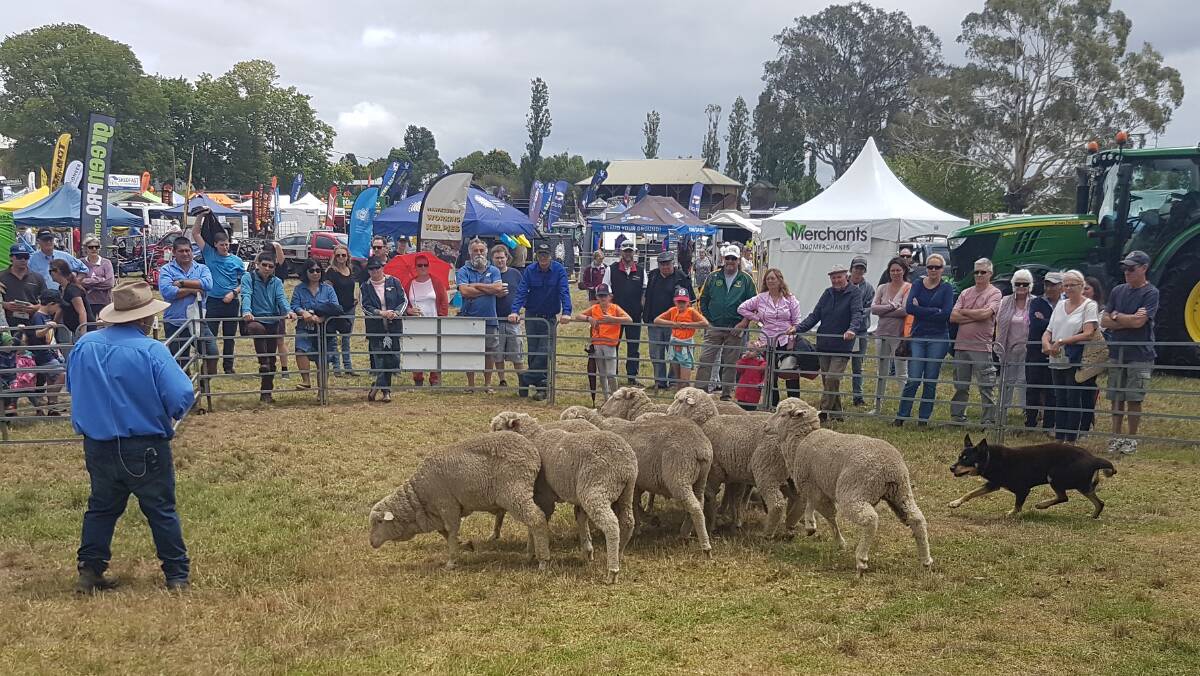 The fifth Small Farm Field Day will be held at the Moss Vale Showground on February 2 and 3 from 9am to 4pm. Tickets are $5, and under 15s free.
