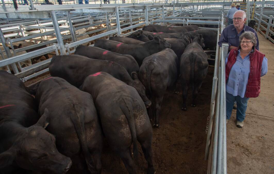 Via & Colleen Trotter, ‘The Long Yard’, Yass sold a total of 21 Angus Bullocks with Agstock to a top of 250c/kg, av 675kg, $1687.5ph.