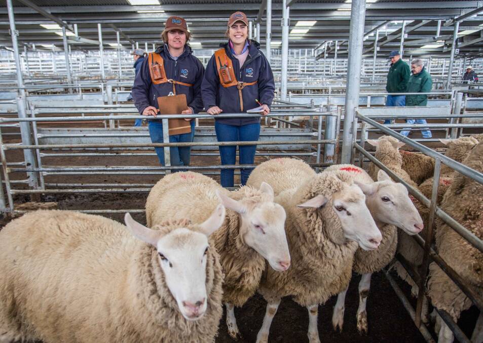 Yass High School topped the August 8 market with Butt Livestock & Property selling XB Lambs for $215ph.