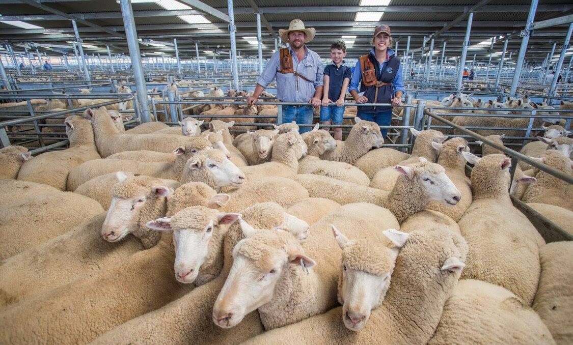 Phill Butt with son Lucas and Tegan Morris, Butt Livestock & Property, topped the April 18 sale with these XB lambs for $180 on behalf of Willow View Partnership, Yass.