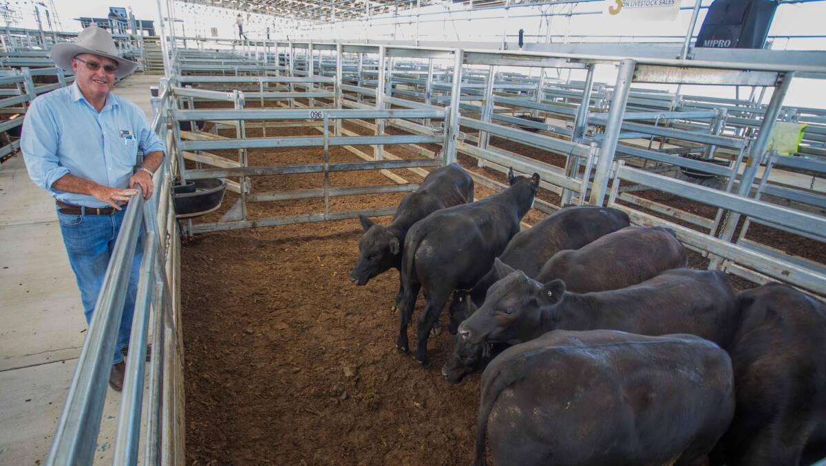 David Corcoran, Delta Agribusiness sold seven Angus vealer steers on behalf of Cavanagh Grazing, Boorowa to a top of 311c/kg, av 341.4kg, $1061.84ph. Photo: Heidi Grange