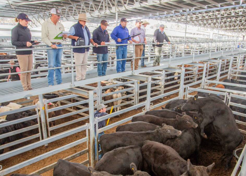 MH & AM McDonald, Binda topped the April 19 Prime Cattle sale with 16 Angus x Steers sold by Duncombe & Co for 280c/kg, av 484.7kg, $1357.13ph.