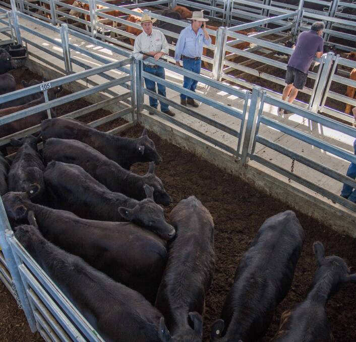 Greg, MD & JJ Anderson sold 10 Angus x Steers on behalf of Col Kennedy, Taralga for 324.6c/kg, av 317.5kg, $1030.61ph, topping the March 1 sale.