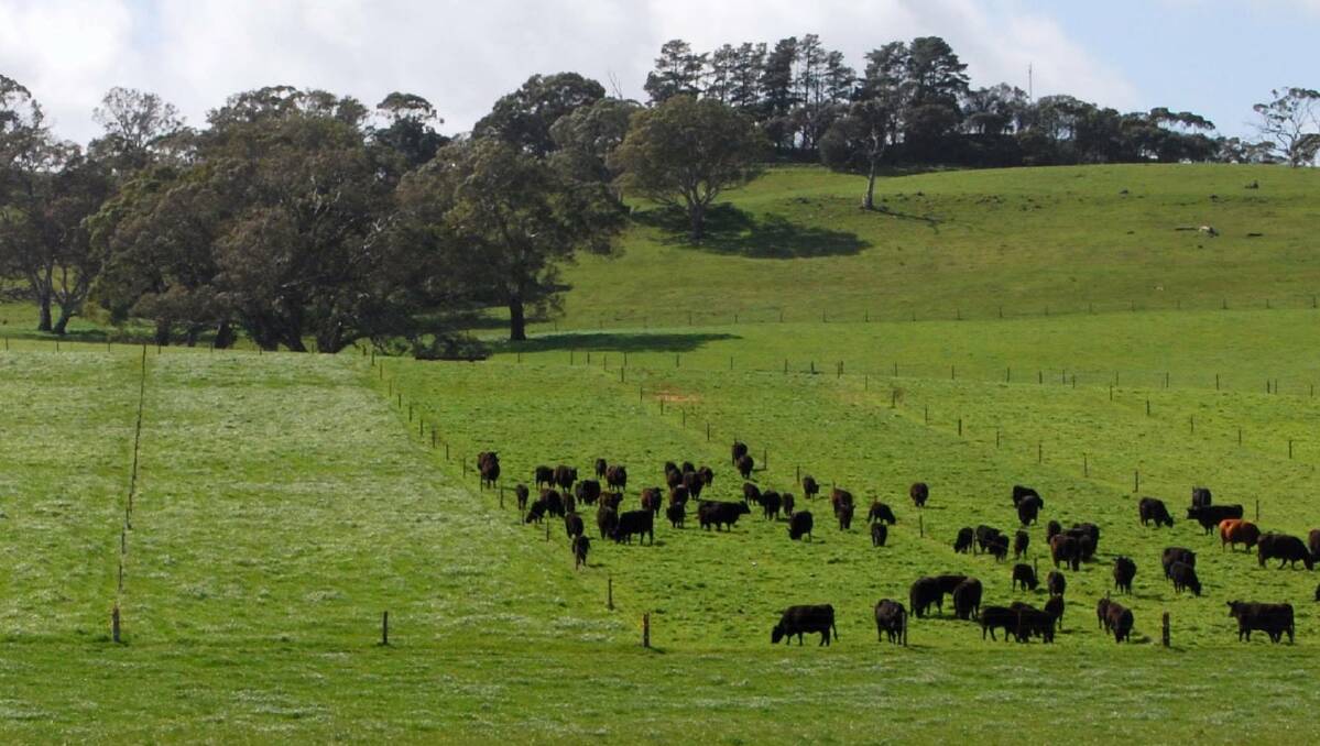 Seminar: South East Local Land Services and DPI invite graziers to a Crookwell forum on approaches to rotational grazing. Photo: courtesy transterraform.com
