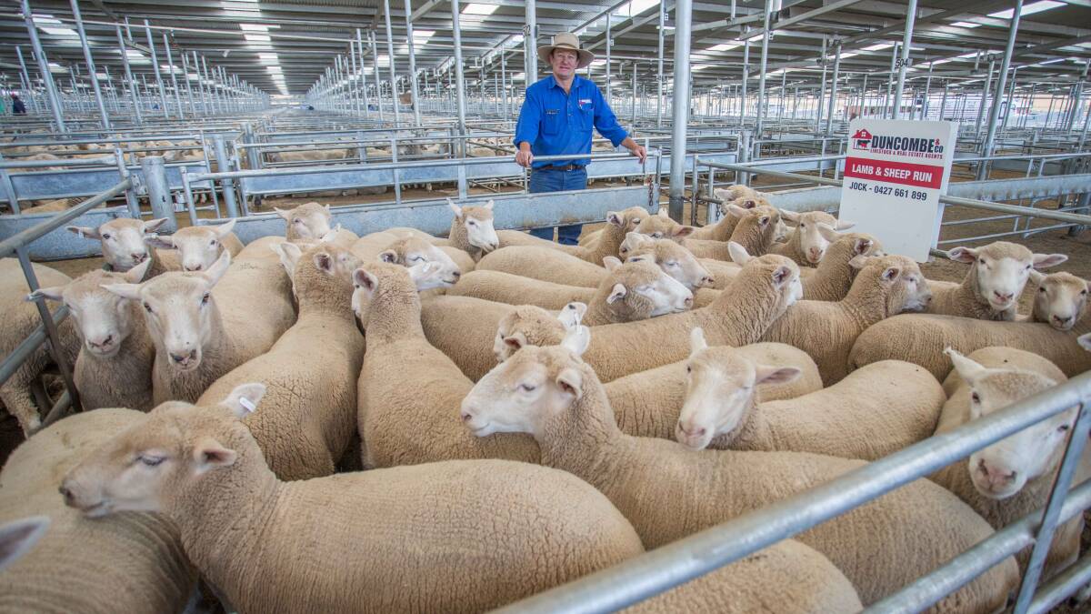 C&T Willis, Crookwell topped the market with XB Lambs sold by Jock Duncombe, Duncombe & Co for $170ph. Photo: Heidi Grange