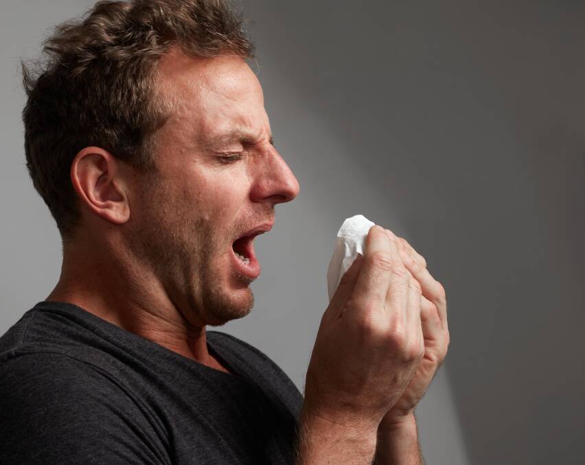 Taking a look at the science of sneezing